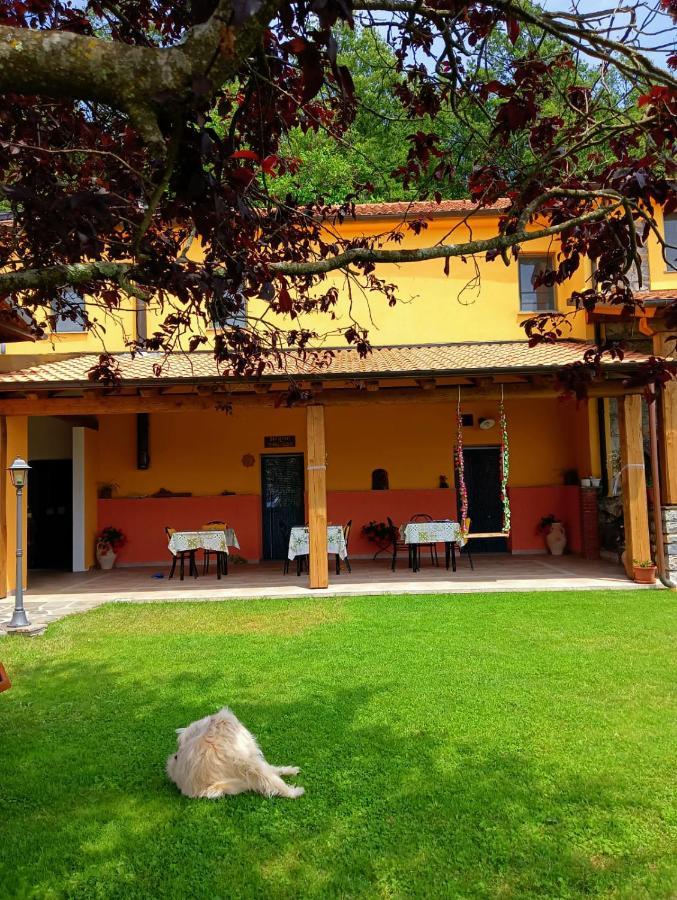 Terra Del Bosco Agriturismo Sesta Godano Kültér fotó