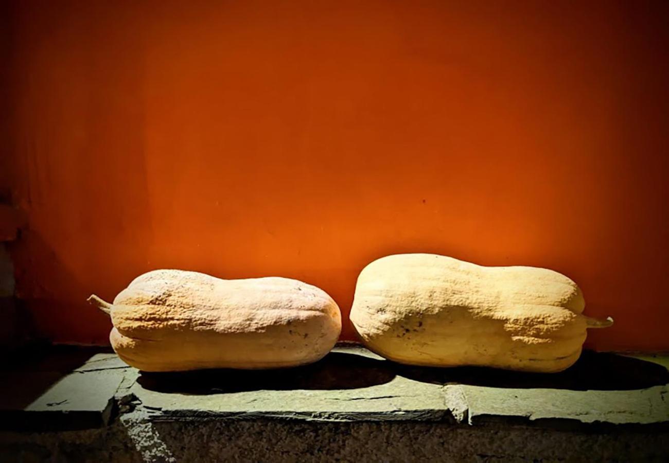 Terra Del Bosco Agriturismo Sesta Godano Kültér fotó