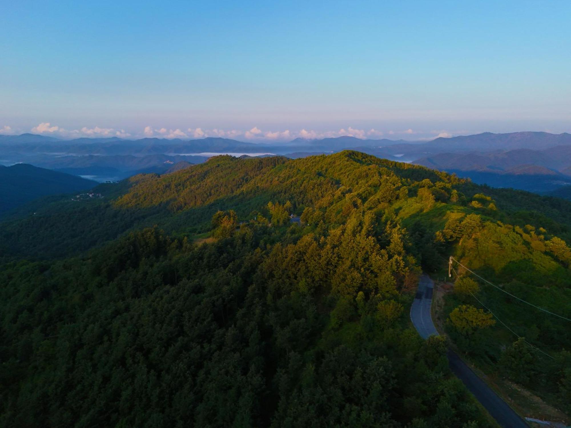 Terra Del Bosco Agriturismo Sesta Godano Kültér fotó