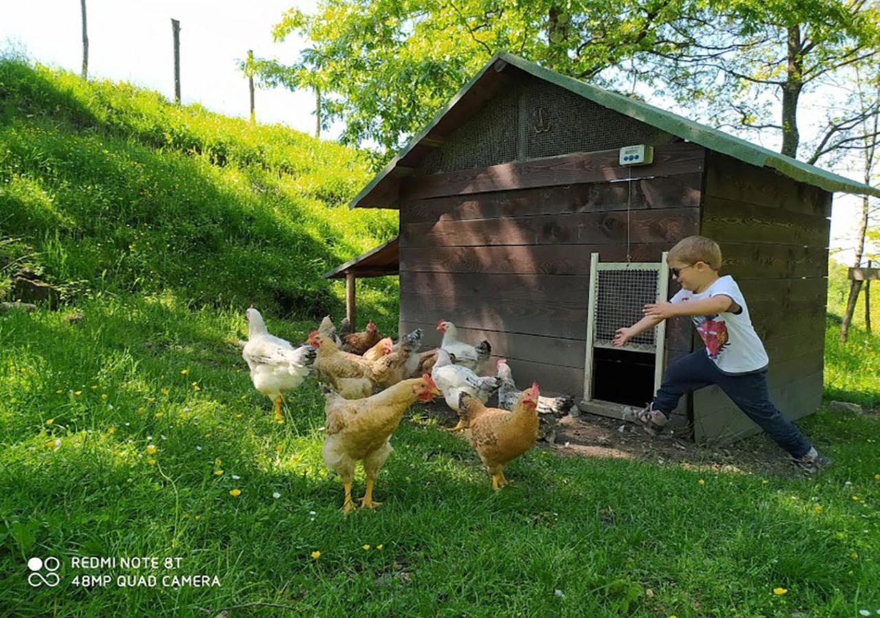 Terra Del Bosco Agriturismo Sesta Godano Kültér fotó